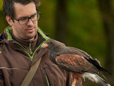 Apartment 3raum Apartment 1 bis 4Pers. - Outdoor photo 14