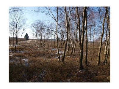 Apartment 3raum Apartment 1 bis 4Pers. - Outdoor photo 16