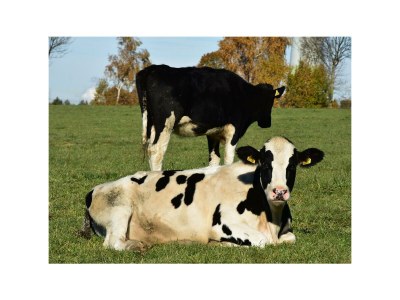 Apartment 3raum Apartment 1 bis 4Pers. - Outdoor photo 29