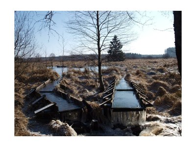 Apartment 3raum Apartment 1 bis 4Pers. - Outdoor photo 31