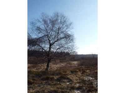 Apartment 3raum Apartment 1 bis 4Pers. - Outdoor photo 32