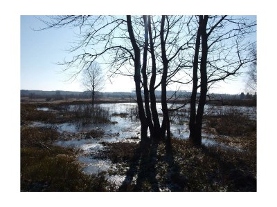 Apartment 3raum Apartment 1 bis 4Pers. - Outdoor photo 45