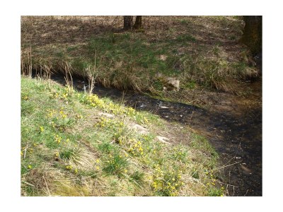 Apartment 3raum Apartment 1 bis 4Pers. - Outdoor photo 51