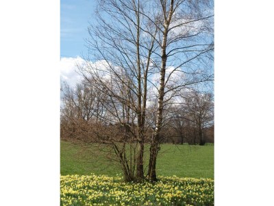 Apartment 3raum Apartment 1 bis 4Pers. - Outdoor photo 53