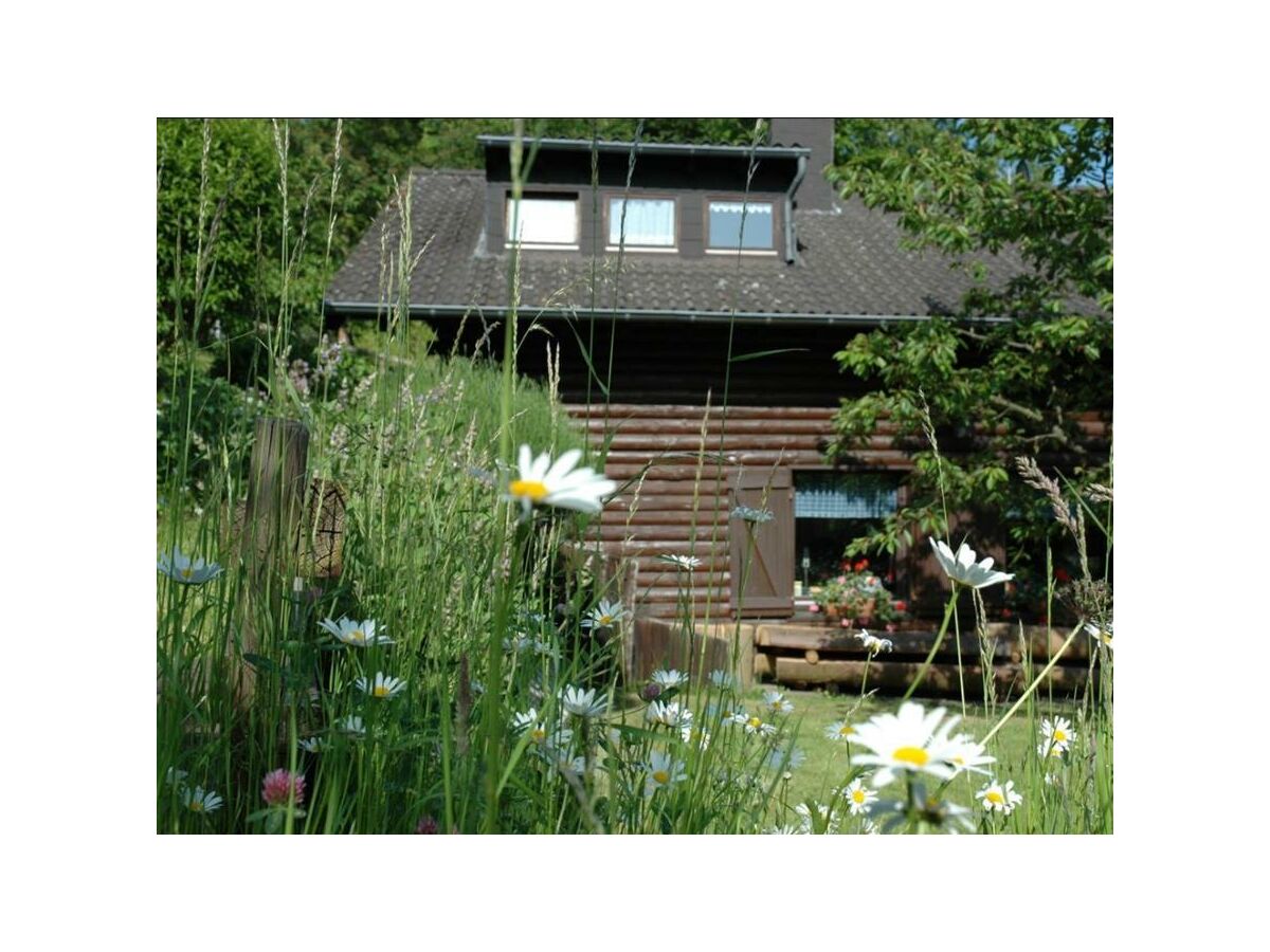 Apartment 2-Bettwohnung (Buche) - Outdoor photo 5