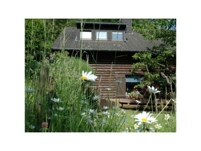 Apartment 2-Bettwohnung (Buche) - Outdoor photo 5