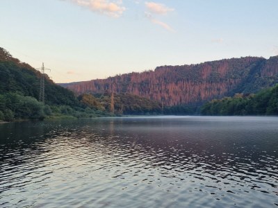 Apartment 2-Bettwohnung (Buche) - Outdoor photo 19