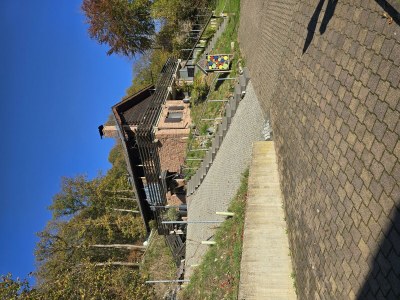 Apartment 2-Bettwohnung (Buche) - Outdoor photo 43