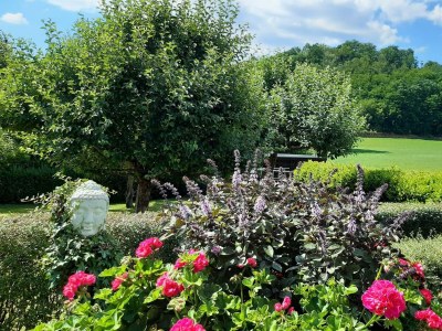 Apartment Appartement/Fewo, Dusche oder Bad, 1 Schlafraum - Outdoor photo 2