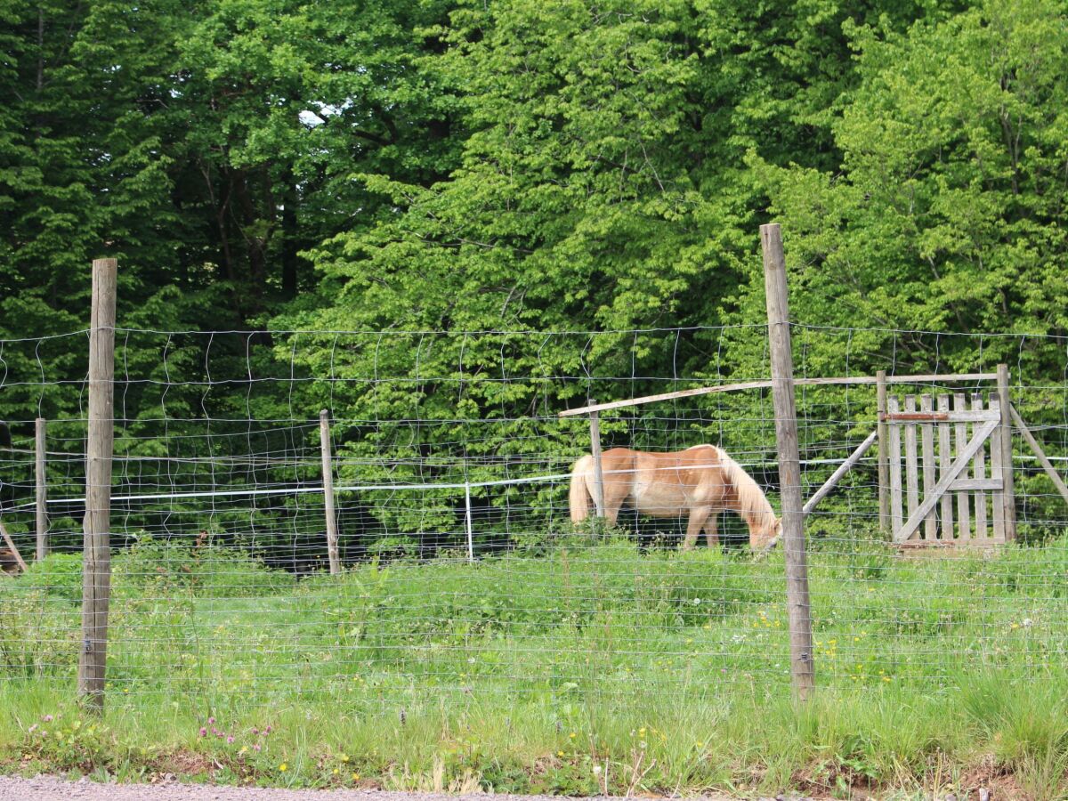 Apartment 2-Bett-Ferienwohnung Dusche/WC, 1 Schlafraum - Outdoor photo 4