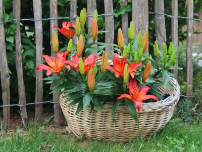 Apartment 2-Bett-Ferienwohnung Dusche/WC, 1 Schlafraum - Outdoor photo 14