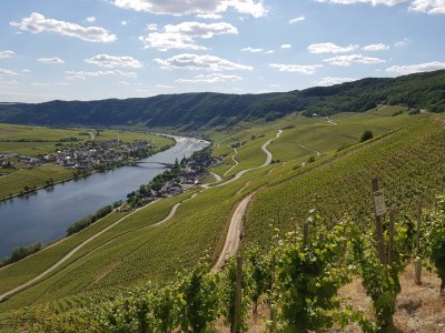 Apartment 2-Bett-Ferienwohnung Dusche/WC, 1 Schlafraum - Outdoor photo 18