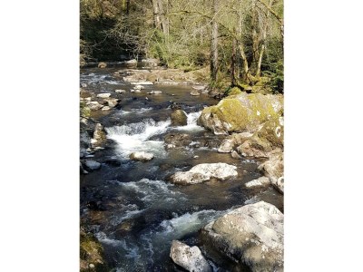 Apartment 2-Bett-Ferienwohnung Dusche/WC, 1 Schlafraum - Outdoor photo 21