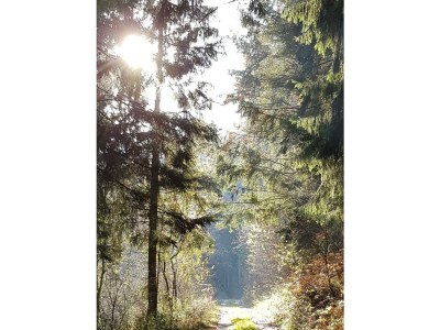 Apartment 2-Bett-Ferienwohnung Dusche/WC, 1 Schlafraum - Outdoor photo 22