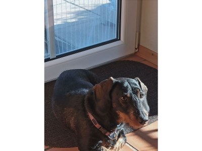 Apartment 2-Bett-Ferienwohnung Dusche/WC, 1 Schlafraum - Outdoor photo 23