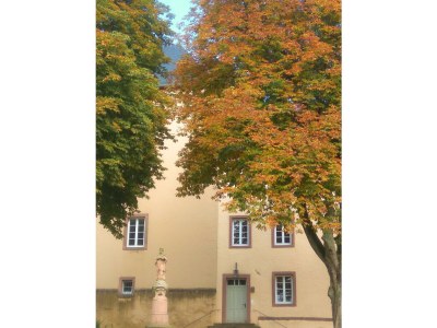 Apartment Modern Country Cottage bis 5 Pers. - Outdoor photo 8