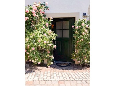 Apartment 2-Bett-Studio - historischer Charme und Design - Outdoor photo 10