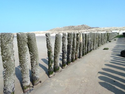 Holiday apartment Zuiderstrand Duinweg 49 - Environment photo 20