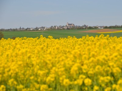 Apartment 2-Bett-Ferienwohnung - Outdoor photo 35