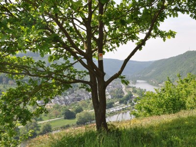 Apartment 2-Bett-Ferienwohnung - Outdoor photo 43