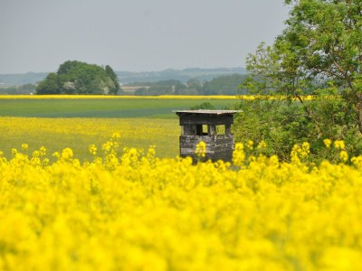 Apartment 2-Bett-Ferienwohnung - Outdoor photo 45