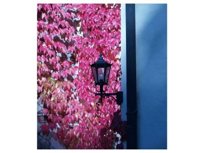 Apartment 4-Bett-Ferienwohn.Eulenhorst - Outdoor photo 35