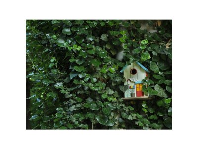 Apartment 4-Bett-Ferienwohn.Eulenhorst - Outdoor photo 36