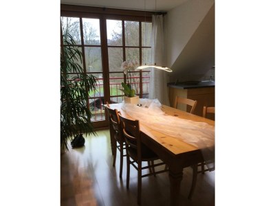 Apartment 4-Bett-Ferienwohn.Eulenhorst - Features photo 49