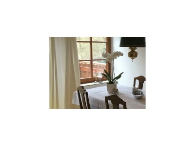 Apartment 4-Bett-Ferienwohnung Hochsitz - Features photo 42