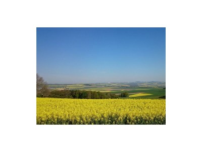 Apartment 2-Bett-Ferienwohnung Maifeld - Outdoor photo 9