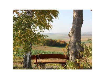 Apartment 2-Bett-Ferienwohnung Maifeld - Outdoor photo 14