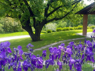 Holiday apartment Residence Rio Selva (66m²) - Outdoor photo 8