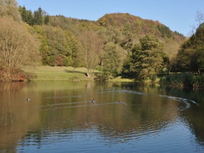 Apartment 4-Bett-Ferienwohnung Kohnz, Nichtraucher - Outdoor photo 18