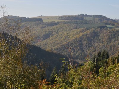 Apartment 4-Bett-Ferienwohnung Kohnz, Nichtraucher - Outdoor photo 19