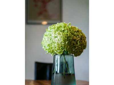 Apartment Ferienhaus LindGrün bis 8 Personen - Outdoor photo 41