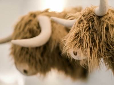 Apartment Ferienhaus LindGrün bis 8 Personen - Outdoor photo 51