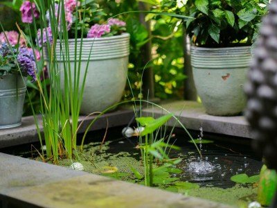 Apartment Ferienhaus LindGrün bis 8 Personen - Outdoor photo 54