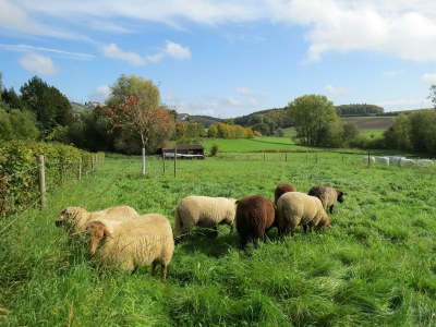 Apartment 4-Bettwohnung - Outdoor photo 2