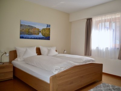 Apartment 4-Bettwohnung - Features photo 10