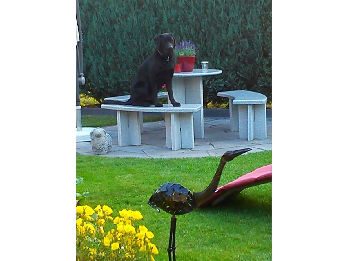 Apartment 6-Bett-Ferienwohnung 2 (Souterrain) - Outdoor photo 4