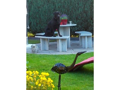 Apartment 6-Bett-Ferienwohnung 2 (Souterrain) - Outdoor photo 4