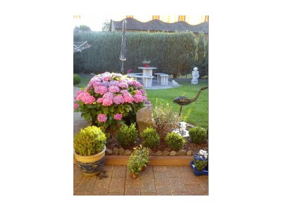 Apartment 6-Bett-Ferienwohnung 2 (Souterrain) - Outdoor photo 9