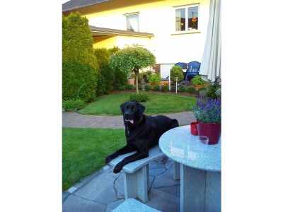 Apartment 6-Bett-Ferienwohnung 2 (Souterrain) - Outdoor photo 10