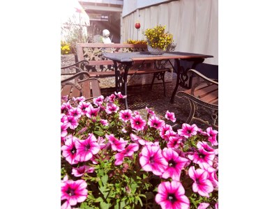 Apartment 2-Bett-Ferienwohnung Berg - Outdoor photo 16