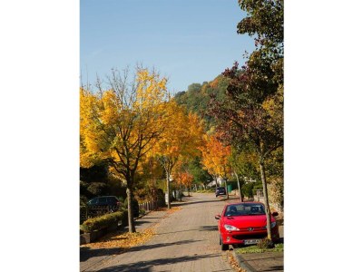 Apartment 2-Bett-Ferienwohnung Nr. 3 - Outdoor photo 8