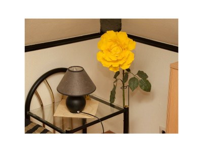 Apartment 2-Bett-Ferienwohnung Nr. 3 - Features photo 34