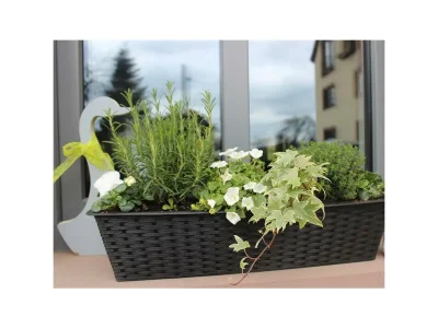 Apartment 4-Bett-Ferienwohnung Eifelgold - Outdoor photo 6