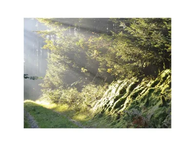 Apartment 4-Bett-Ferienwohnung Eifelgold - Outdoor photo 13