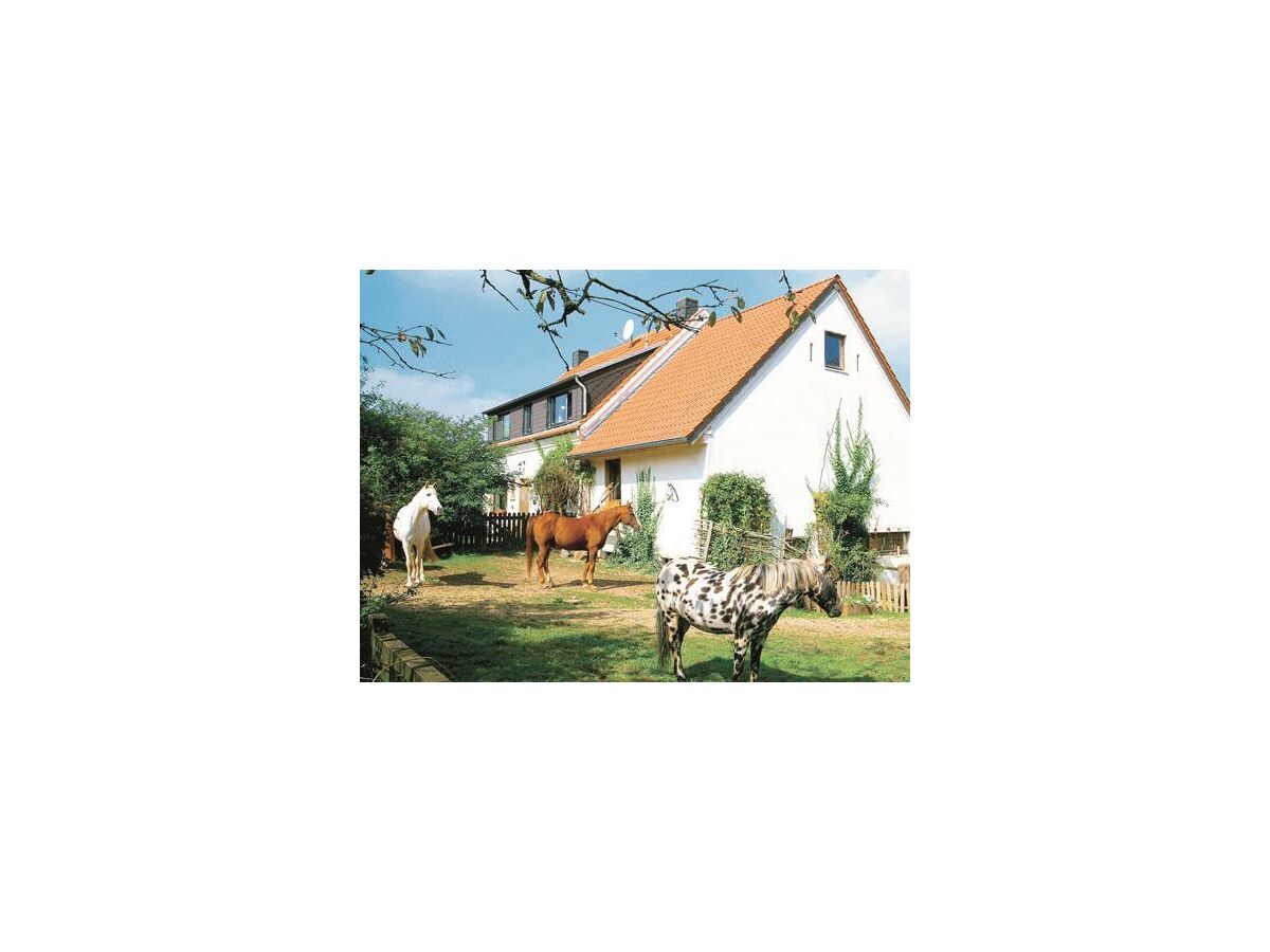 Apartment 4-Bettwohnung - Nichtraucher