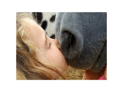 Apartment 4-Bettwohnung - Nichtraucher - Outdoor photo 6